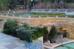 ekthesiakos_xoros_akropolis_01